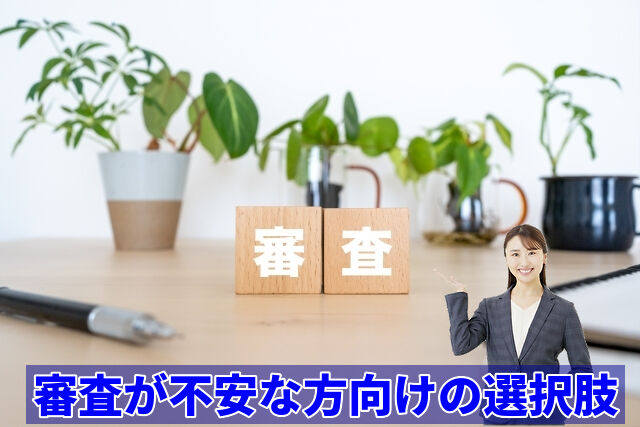 審査が不安な方向けの選択肢